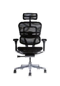 Silla Alta Gama Ergohuman Elite